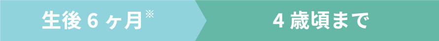 生後６ヶ月から４歳頃まで